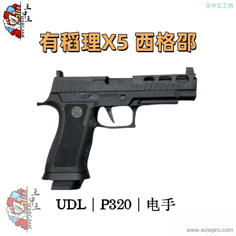有稻理udl p320 x5  西格邵尔